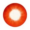 Serax De Plate Var 5 In White/red