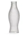 Serax Fish And Fish Fish-shaped Carafe In Transparent