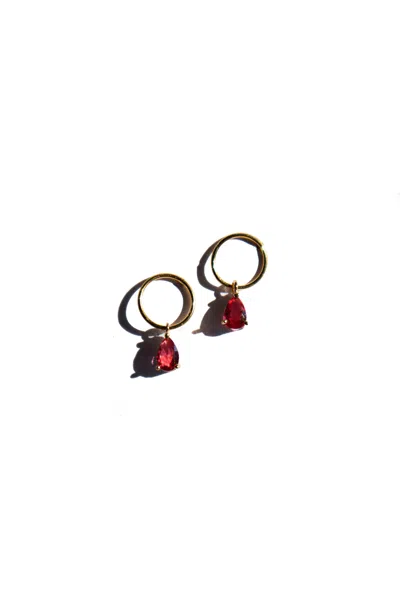 Seree Women's Layla Pink Zircon Earrings In Red