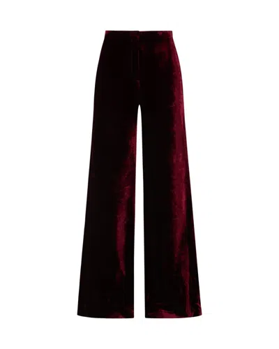 Serena Bute Velvet Flare Trouser - Burgundy