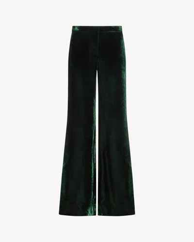 Serena Bute Velvet Flare Trouser In Green