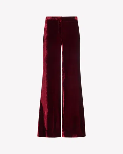 Serena Bute Velvet Flare Trouser In Red