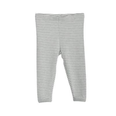 Serendipity Organics Unisex Kids' Stripe Leggings In Mint In Gray