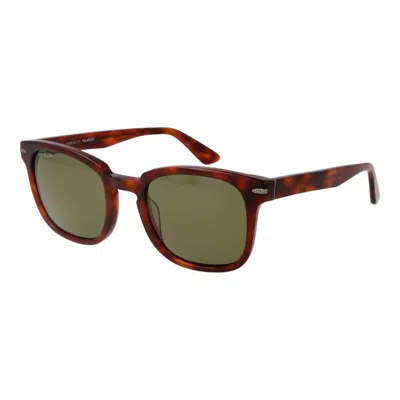 Serengeti Acetate Sunglasses In Brown