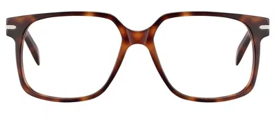 Serengeti Charlie Men's Glasses, Tortoiseshell, Size 56