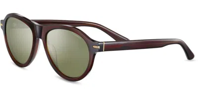 Serengeti Danby Polarized Ss527004 Occhiali Da Sole Marroni Per Uomo In Brown