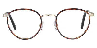 Serengeti Daniel Men's Glasses, Tortoiseshell, Size 50
