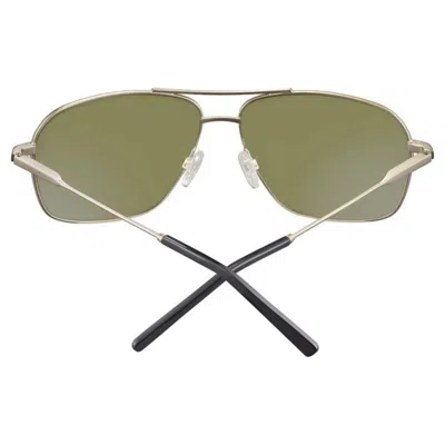 Serengeti Eyewear Dorwinnss578001 In Ss578001