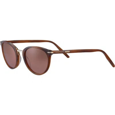 Serengeti Eyewear Elyna8966