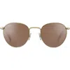 Serengeti Eyewear Hamel8929