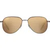 Serengeti Eyewear Haywoodss543001 In Ss543001