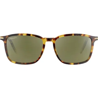 Serengeti Eyewear Lenwoodss485004 From  In Ss485004