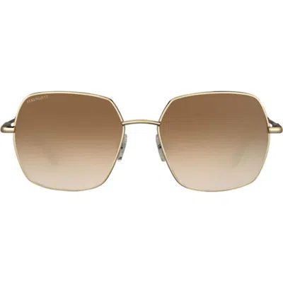 Serengeti Eyewear Loyss548005 In Ss548005