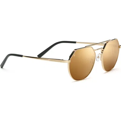 Serengeti Eyewear Shelbyss533003 In Ss533003