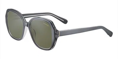 Serengeti Hayworth Polarized Ss538003 Men's Sunglasses Grey Size 53 In Gray