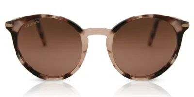 Serengeti Leonora Polarized 8839 Women's Sunglasses Tortoiseshell Size 51 In Brown