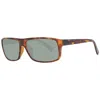 Serengeti Rengeti Unix Sunglass