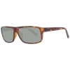 Serengeti Rengeti Unix Sunglass In White