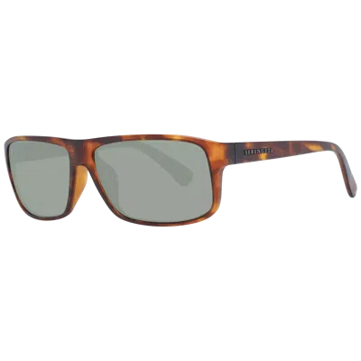 Serengeti Rengeti Unix Sunglass In Brown