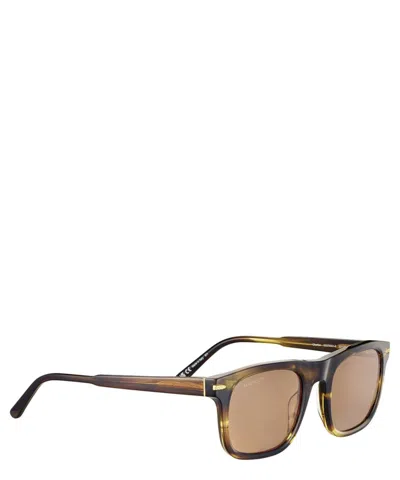 Serengeti Sunglasses Charlton In Crl