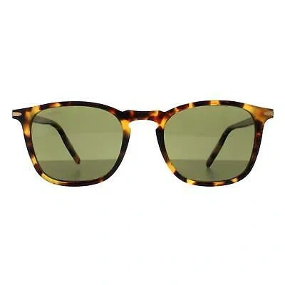 Pre-owned Serengeti Sunglasses Delio Ss021004 Shiny Classic Havana Mineral Polarized 555nm In Green