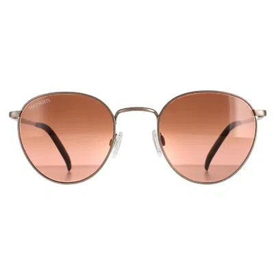 Pre-owned Serengeti Sunglasses Hamel 8928 Brush Bronze Mineral Polarized Drivers Gradient In Brown