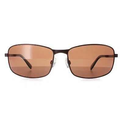 Pre-owned Serengeti Sunglasses Varese 2.0 Ss568003 Brushed Brown Drivers Brown Polarized