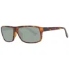 Serengeti Rengeti Unix Sunglass In Brown