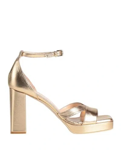 Sergio Cimadamore Woman Sandals Gold Size 6 Leather In Gold