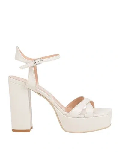 Sergio Cimadamore Woman Sandals Off White Size 8 Leather