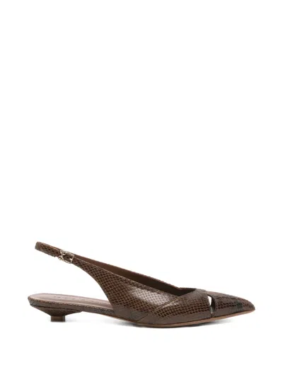 Sergio Levantesi Fatima Pointed-toe Leather Pumps In Brown