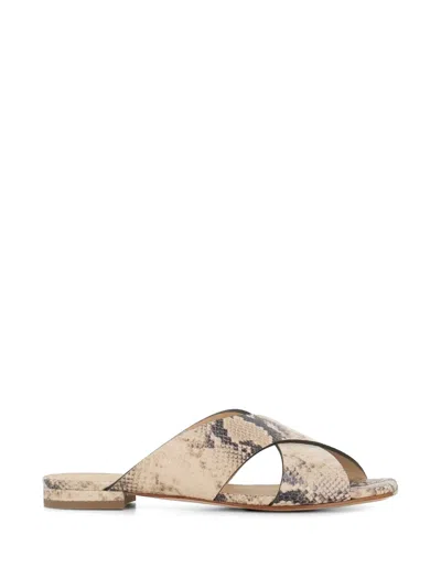 Sergio Levantesi Nunzia Criss-cross Sandals In Neutral