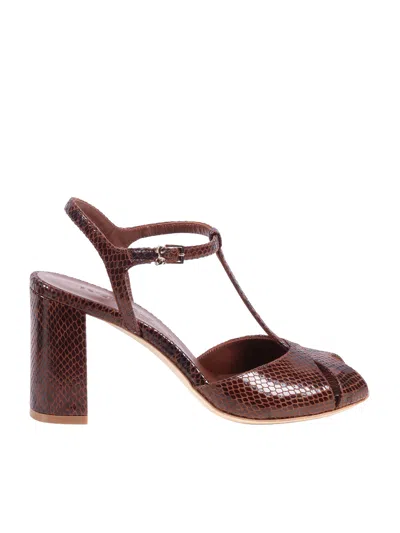 Sergio Levantesi Pitone Under Textured Leather Sandals In Brown