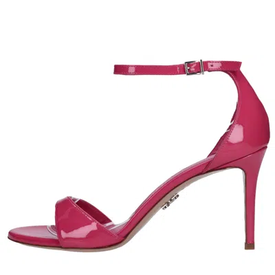 Sergio Levantesi Sandals Fuchsia In Fucsia Vivaci