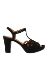 Sergio Levantesi Woman Pumps Black Size 7 Leather