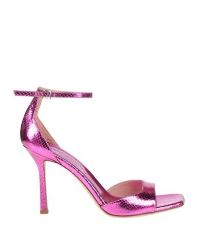 Sergio Levantesi Woman Pumps Fuchsia Size 9 Leather In Pink