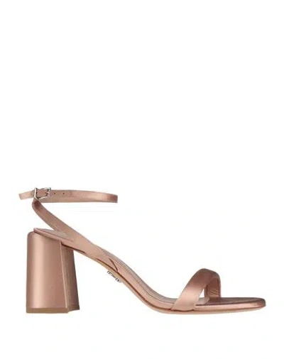 Sergio Levantesi Woman Sandals Blush Size 6 Textile Fibers In Pink