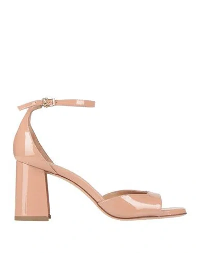 Sergio Levantesi Woman Sandals Blush Size 9 Leather In Pink