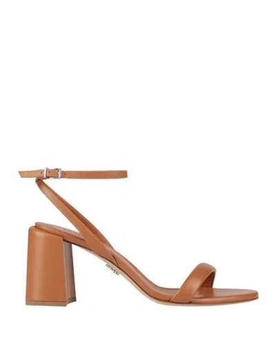 Sergio Levantesi Woman Sandals Brown Size 8 Leather