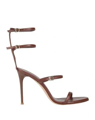 Sergio Levantesi Woman Sandals Chocolate Brown Size 10 Leather