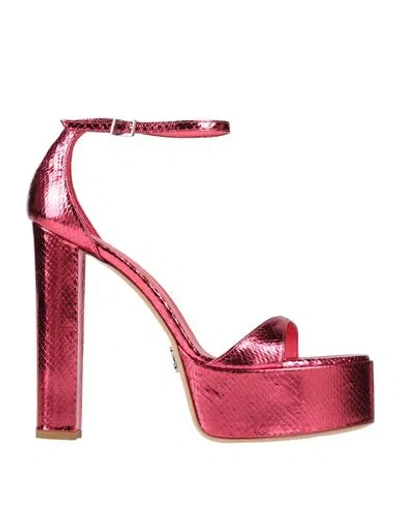 Sergio Levantesi Woman Sandals Fuchsia Size 10 Leather In Pink
