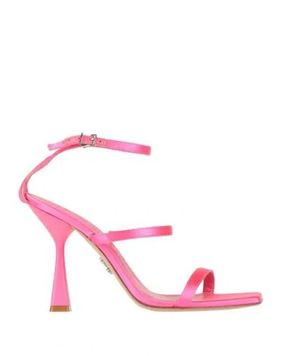 Sergio Levantesi Woman Sandals Fuchsia Size 8 Textile Fibers In Pink