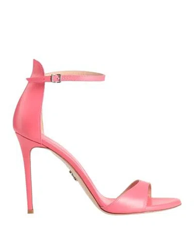 Sergio Levantesi Woman Sandals Magenta Size 6 Leather In Pink