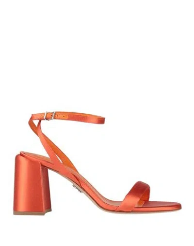 Sergio Levantesi Woman Sandals Orange Size 6 Leather