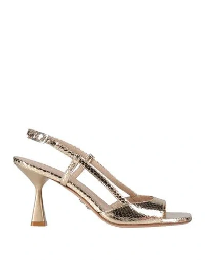 Sergio Levantesi Woman Sandals Platinum Size 6 Leather In Gold