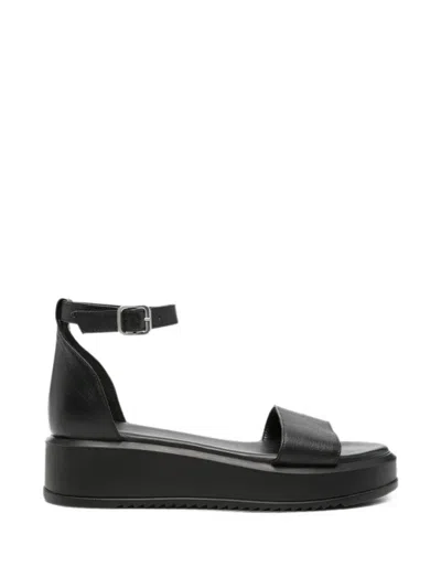 Sergio Moretti Firenze Buckle-fastening Sandals In Black