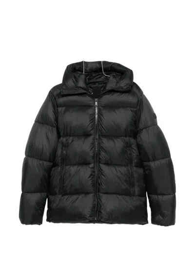 Sergio Moretti Firenze Logo-patch Padded Jacket In Black