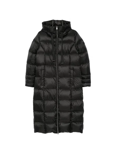Sergio Moretti Firenze Padded Hooded Jacket In Animal Print