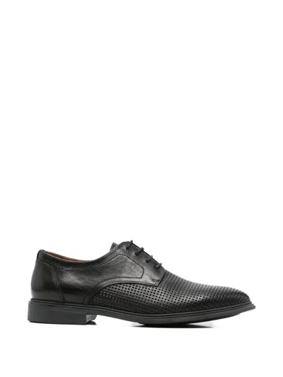 Sergio Moretti Firenze Perforated Leather Lace-up Shoes In Black