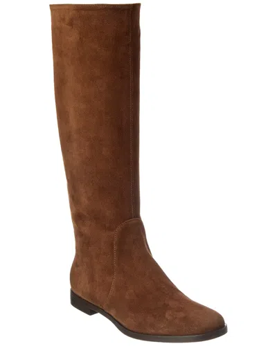 Sergio Rossi Chevallier Suede Knee-high Boot In Black